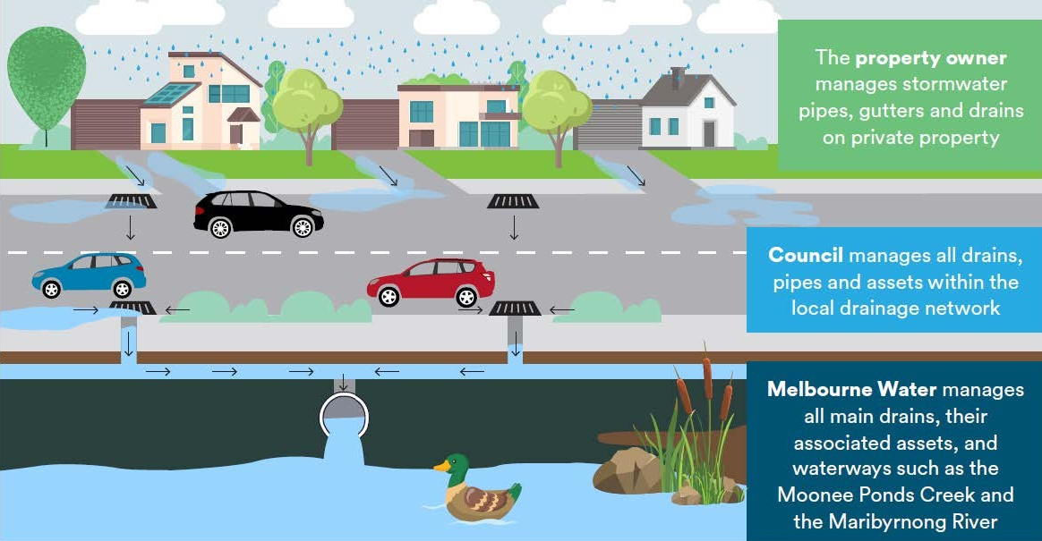 Graphic showing stormwater flowing into drains, gutters, pipes and a waterway from a residential street and driveways